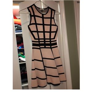 Torn by Ronny Kobo Dress